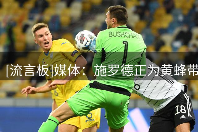 [流言板]媒体：施罗德正为黄蜂带来球队所需要的那种锐气